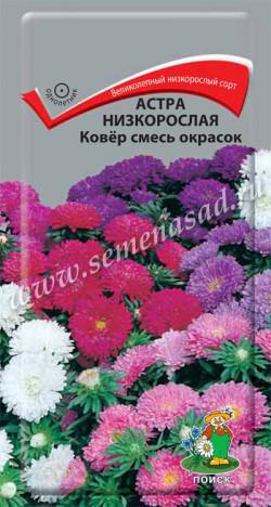 Астра Ковёр смесь окрасок низкорослая (ЦВ) («1) 0,2гр.