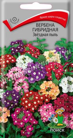 Вербена Звёздная пыль гибридная (ЦВ) («1) 0,2гр.