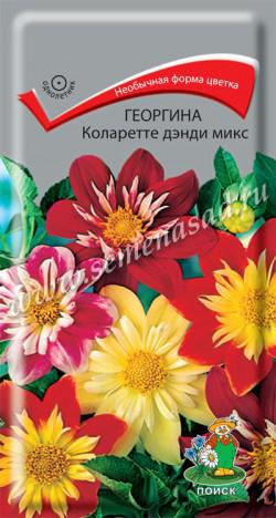 Георгина Коларетте дэнди микс (ЦВ) («1) 0,2гр.