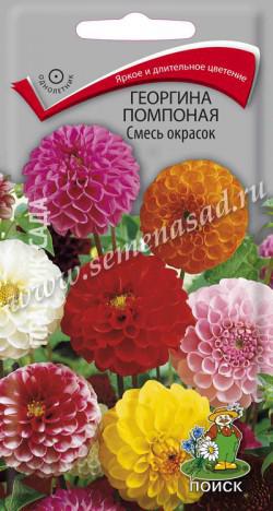 Георгина Помпонная Смесь окрасок (ЦВ ) («1) 0,3гр.