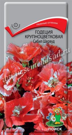Годеция Сибил Шервуд крупноцветковая (ЦВ) («1) 0,2гр.
