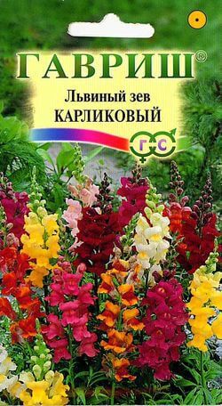 Львиный зев карликовый*, смесь (Антирринум) 0,1 г