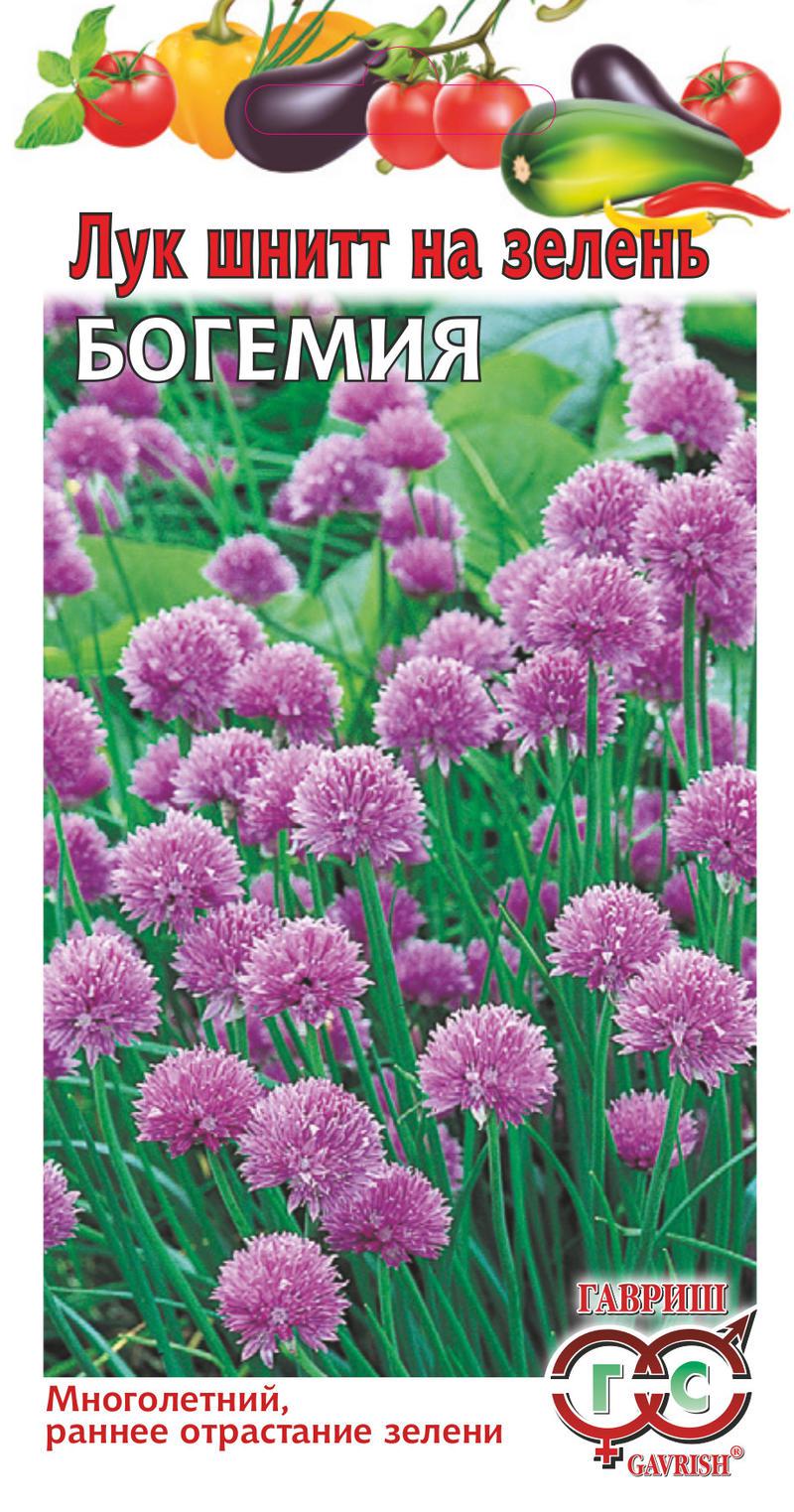 Лук шнитт Богемия 0,5 г