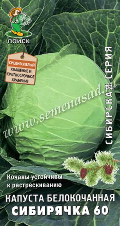 Капуста б/к Сибирячка 60 (сиб.серия) (ЦВ) 0,5гр.