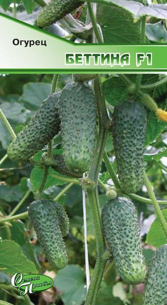 Огурец Беттина F1 ф.п.10шт
