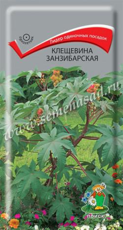 Клещевина Занзибарская (ЦВ) («1) 3гр.