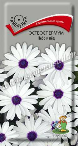 Остеоспермум Небо и лед (ЦВ) («1) 0,1гр.