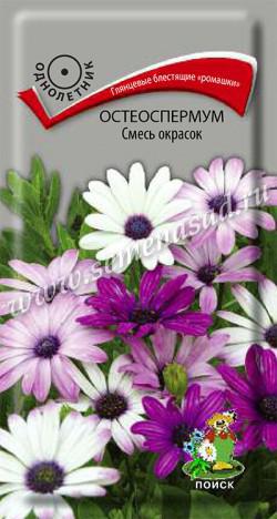 Остеоспермум Смесь окрасок (ЦВ) («1) 0,1гр.