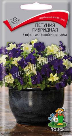 Петуния Софистика блюберри лайм гибридная (ЦВ) («1) 5шт