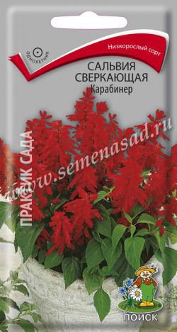 Сальвия Карабинер сверкающая (ЦВ) («1) 0,1гр.