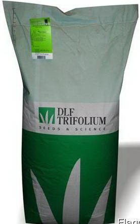 Мятлик луговой «Балин» (25кг)