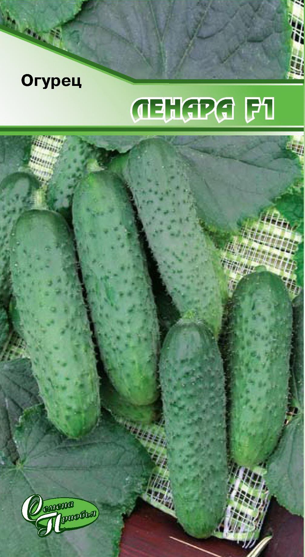Огурец Ленара F1 ф.п.10шт