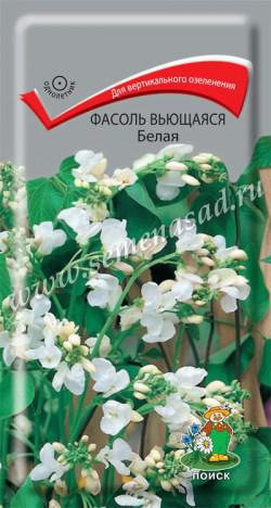 Фасоль вьющаяся Белая (ЦВ) («1) 5шт.