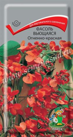 Фасоль вьющаяся Огненно-красная (ЦВ) («1) 5шт.