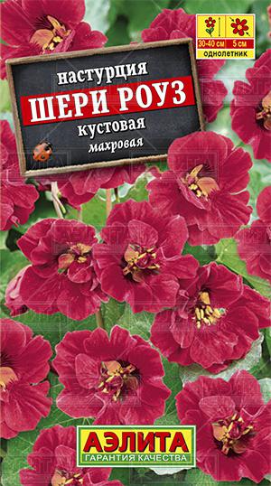 Настурция Шери Роуз карликовая ф.п.1г