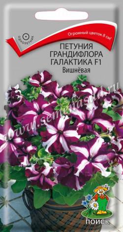 Петуния Галактика F1 Вишнёвая грандифлора (ЦВ) («1) 10шт
