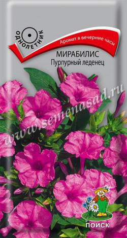 Мирабилис Пурпурный леденец (ЦВ) («1) 1гр.