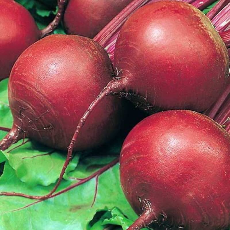 Свекла Ред Клауд F1(пак. 50000 шт)