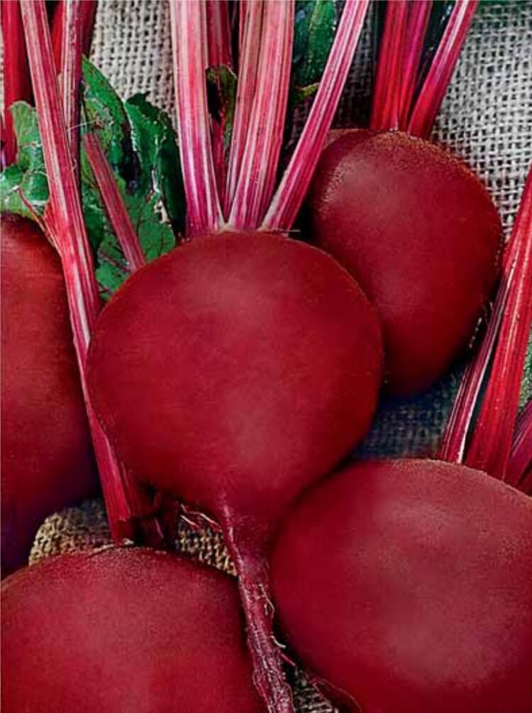 Свекла Детройт