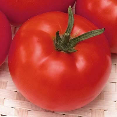 Томат Альянс F1 (пак.1000с)