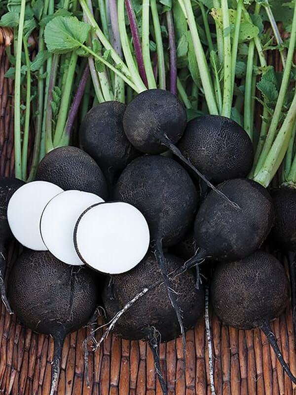 Редька Зимняя круглая черная вес.