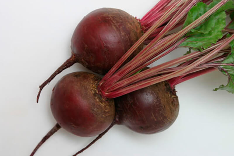 Свекла Бордо 237