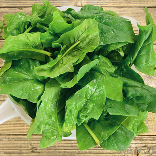 Шпинат Крепыш (1уп-500гр)