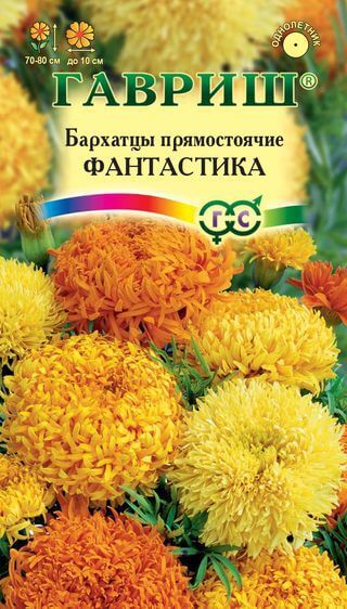 Бархатцы Фантастика, смесь (Тагетес) 0,1 г  Н12