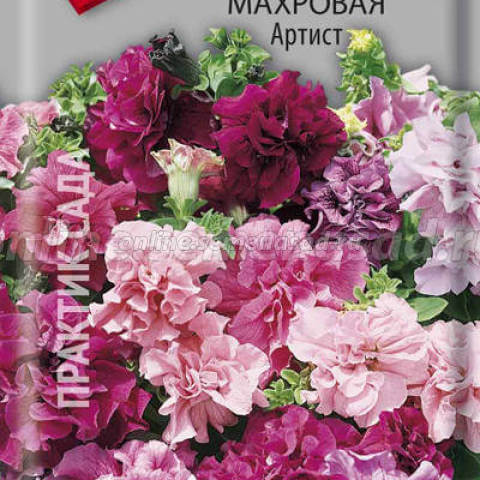 Петуния Артист махровая (ЦВ ) («1) 5шт.