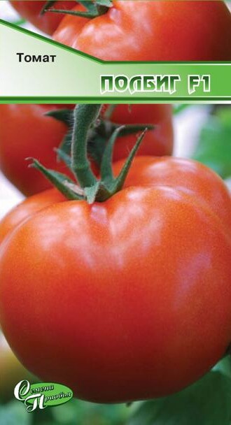 Томат Полбиг F1 ф.п.15шт
