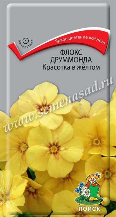 Флокс Красотка в жёлтом друммонда (ЦВ) («1) 0,1гр.