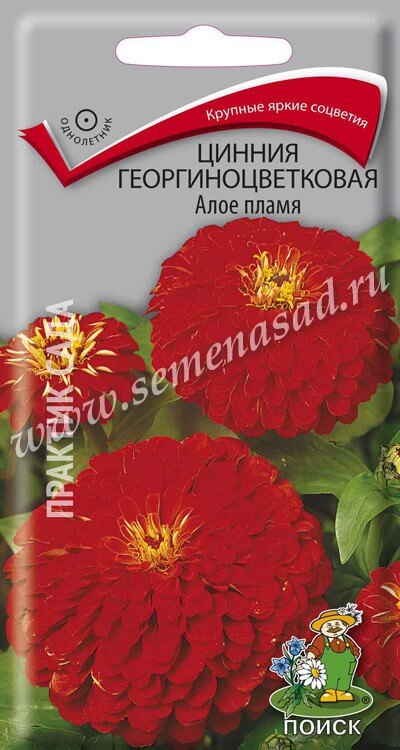 Цинния Алое пламя (ЦВ) («1) 0,4гр.