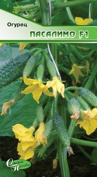 Огурец Пасалимо F1 ф.п.10шт