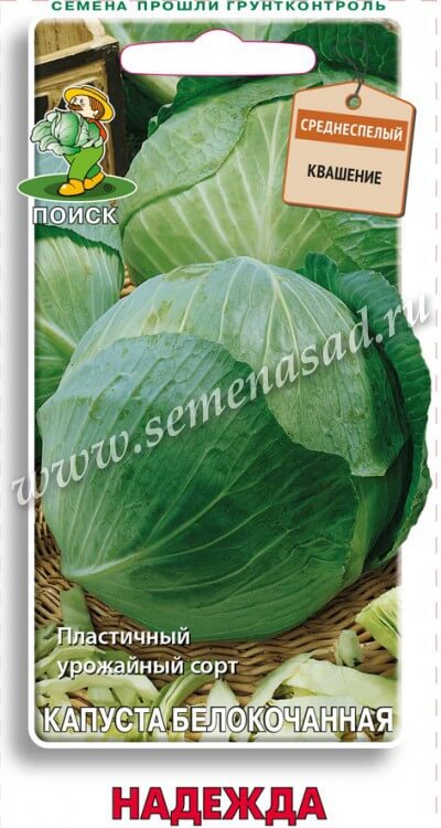 Капуста б/к Надежда (ЦВ) 0,5гр.