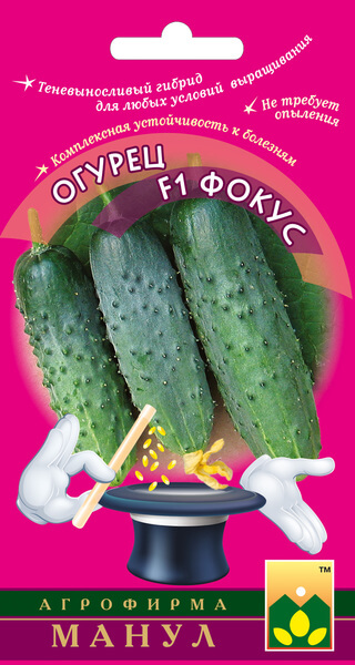 Огурец Фокус F1 ф.п.10шт
