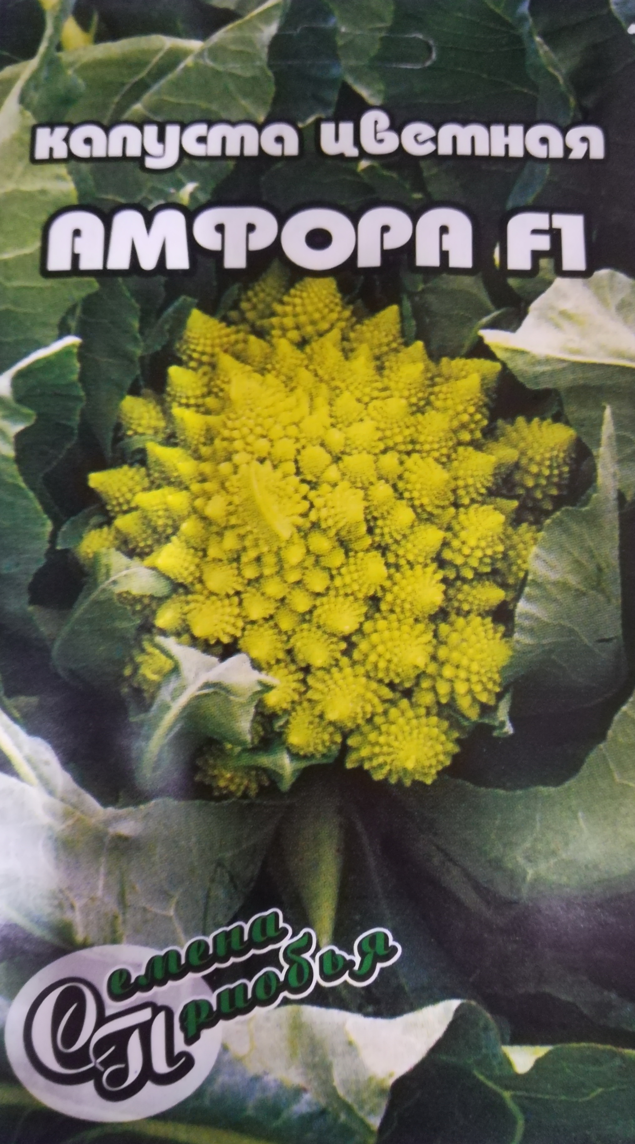 Капуста цветная Амфора F1 ф.п.10др