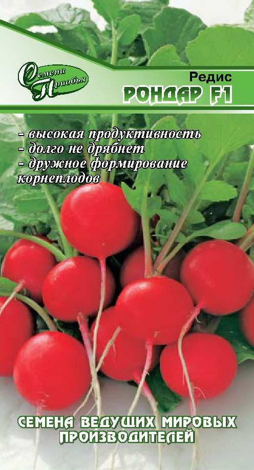 Редис Рондар F1 ф.п.1г