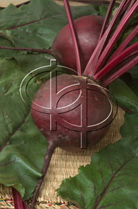 Свекла Бохан F1 (пак.50 000) фр. 3,00-3,50