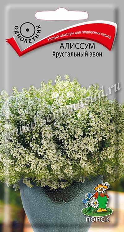 Алиссум Хрустальный звон (ЦВ) («1) 20шт