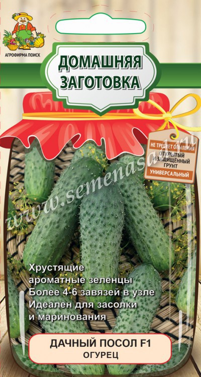 Огурец Дачный Посол F1 (сер.Домаш.заготовка) (А) (ЦВ) 12шт