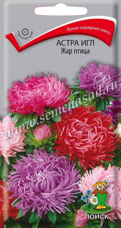 Астра Игл Жар-птица (ЦВ) («1) 0,3гр