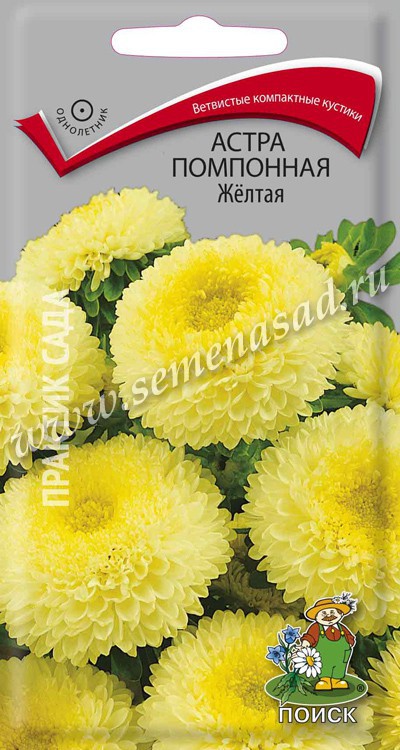 Астра Помпонная Жёлтая (ЦВ) («1) 0,3гр.