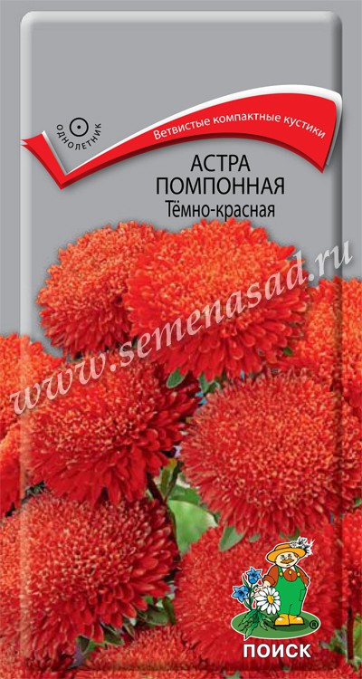Астра Помпонная Тёмно-красная ( ЦВ) («1) 0,3гр.