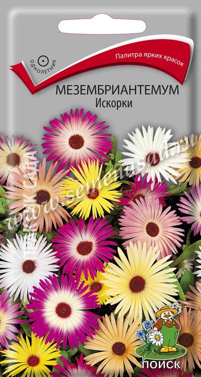 Мезембриантемум Искорки (ЦВ) («1) 0,3гр.