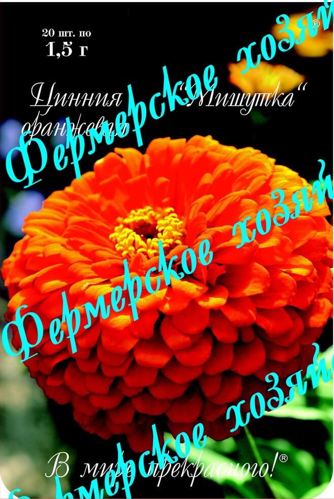 Цинния Мишутка оранжевая 1г (уп. 20пак)
