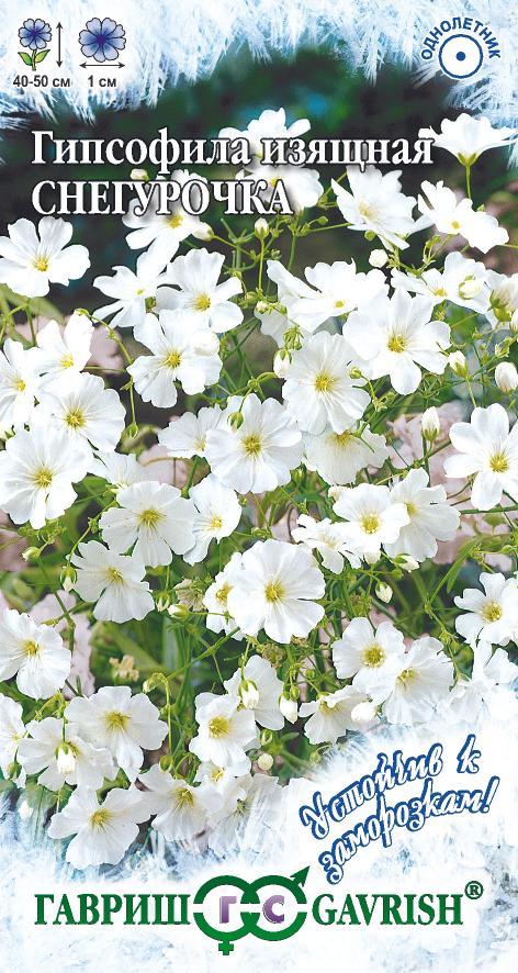 Гипсофила Снегурочка 0,1 г изящная, серия Устойчив к заморозкам!