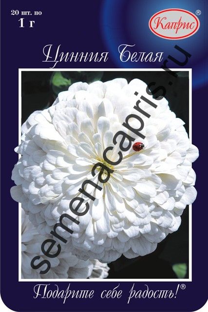 Цинния Полярный медведь 1г (уп.20пак)