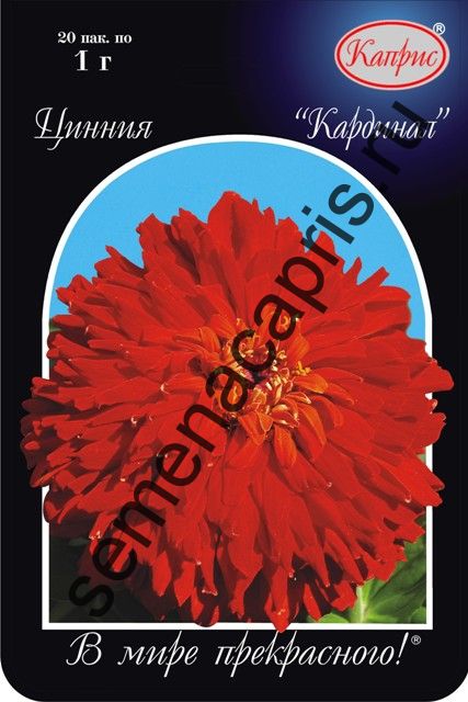 Цинния Кардинал 1гр (уп.20пак)
