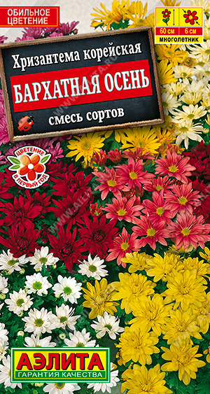 Хризантема Бархатная осень, корейская смесь окрасок ф.п.0,02г