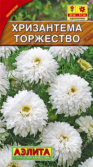 Хризантема Торжество букетная ф.п.0,1г